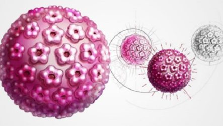 What is human papillomavirus (HPV)