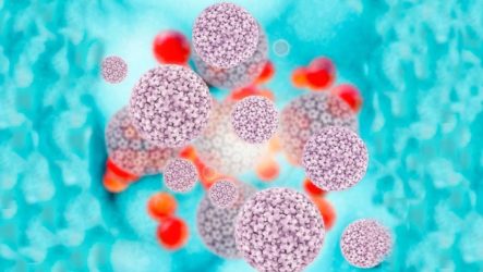 Types of oncogenic HPV in women: How dangerous are they?